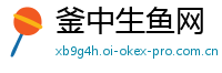 釜中生鱼网